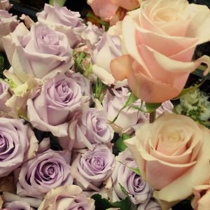 Roses