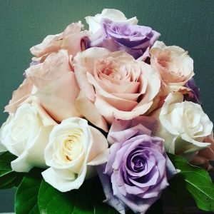 Roses