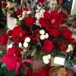 Christmas flowers