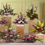 6 different arrangements