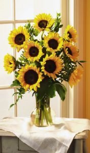 Vase of Sunflowers