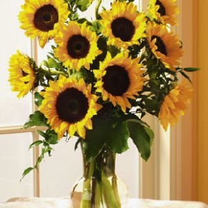 Sunflowers in a vase sitting on a table in front of a window